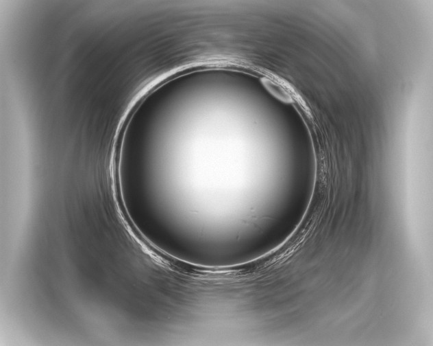 X0000116161343200911301553