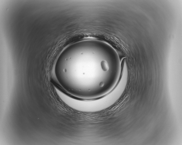 X0000116161345200911301553