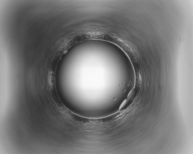 X0000116161346200911301553