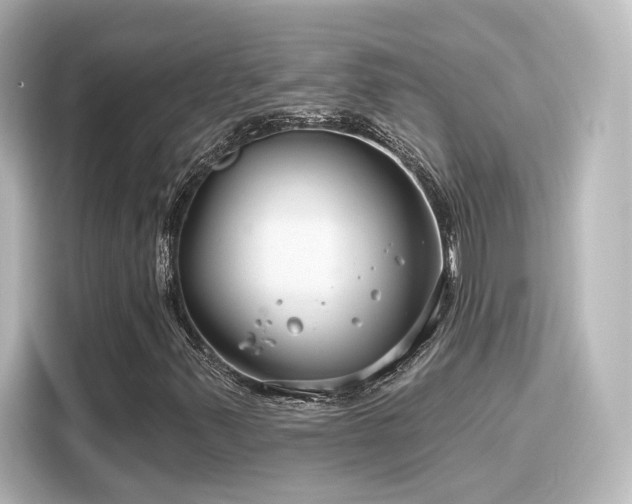 X0000116161347200911301553