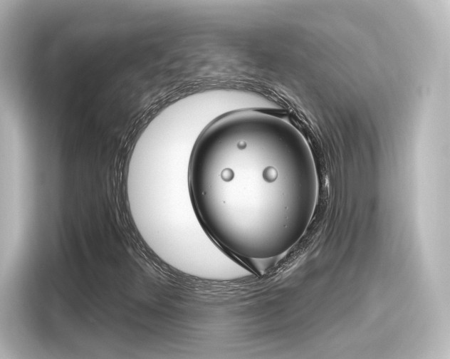 X0000116161348200911301553