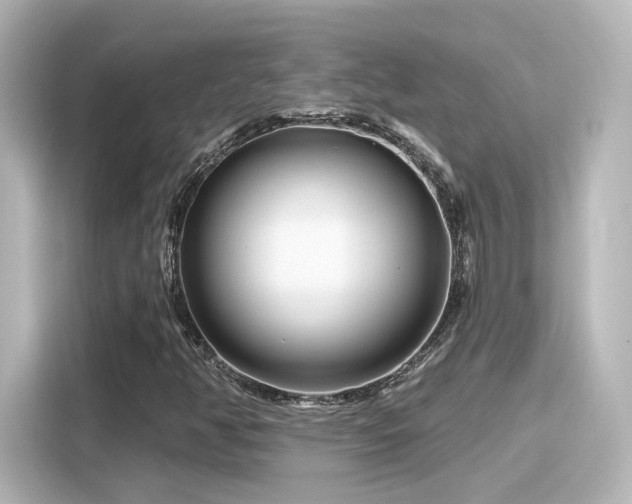 X0000116161350200911301553