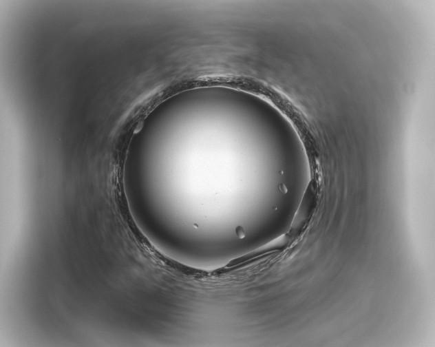 X0000116161351200911301553