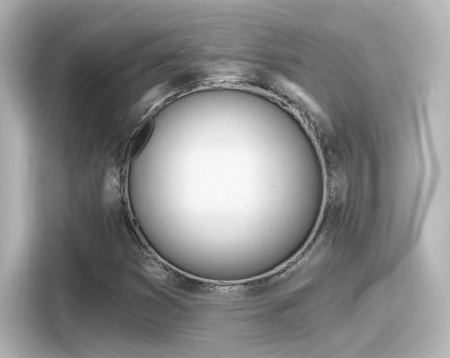 X0000116161353200911301553