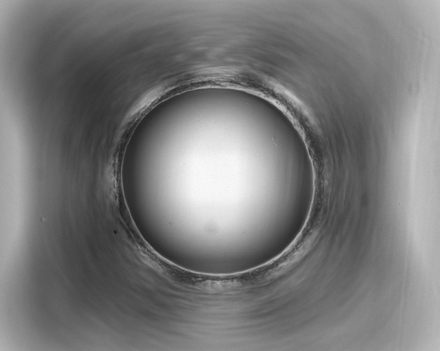 X0000116161354200911301553