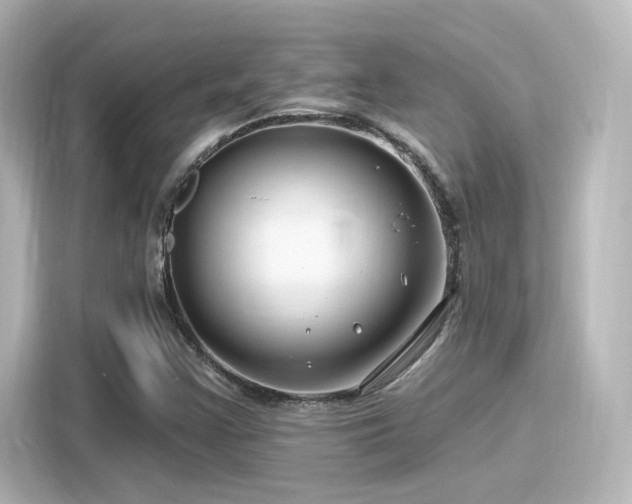 X0000116161355200911301553