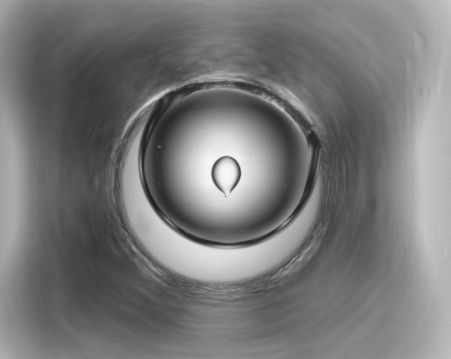 X0000116161356200911301553