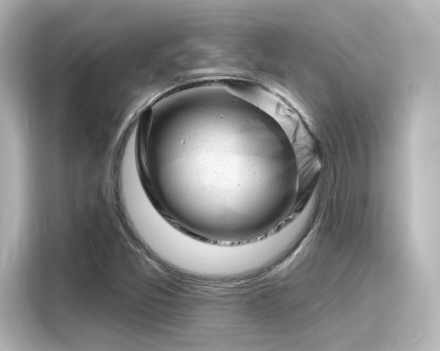 X0000116161357200911301553