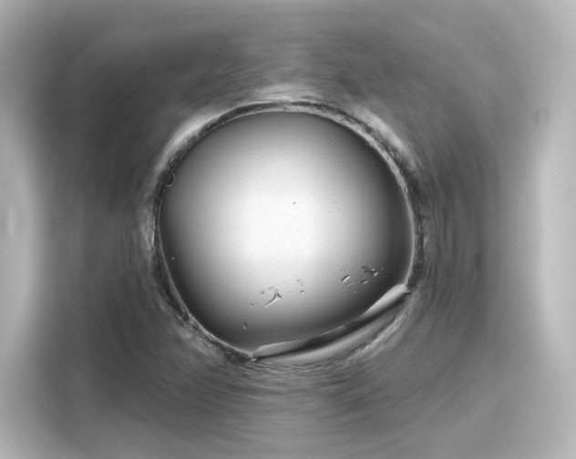 X0000116161358200911301553