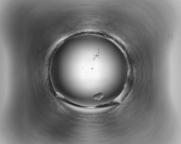 X0000116161359200911301553