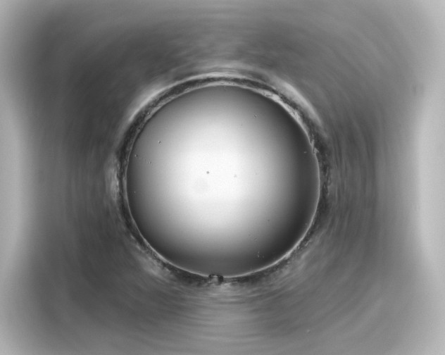 X0000116161360200911301553