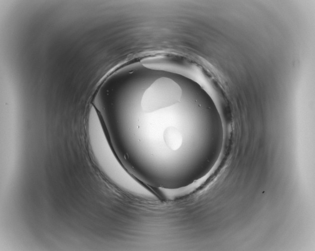 X0000116161361200911301553