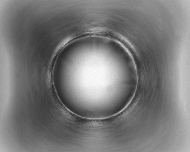 X0000116161362200911301552