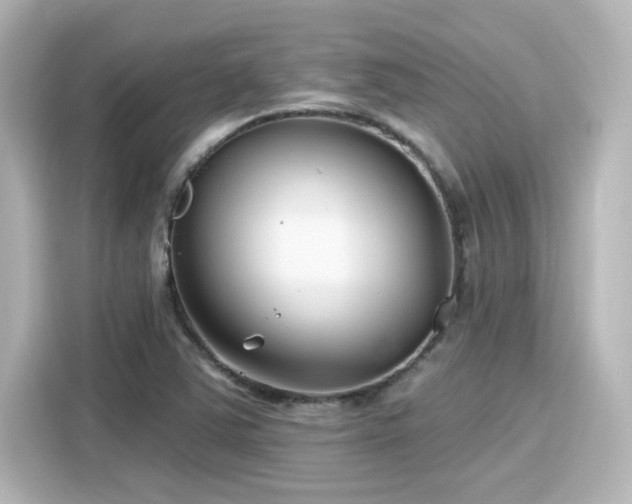 X0000116161363200911301552