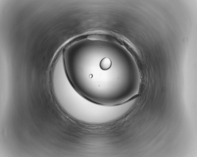 X0000116161364200911301552