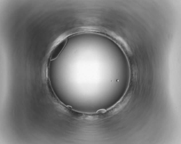 X0000116161365200911301552