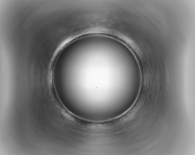 X0000116161366200911301552