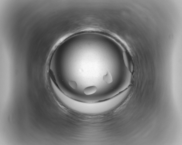 X0000116161367200911301552