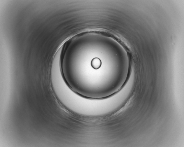 X0000116161369200911301552