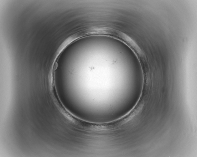 X0000116161370200911301552