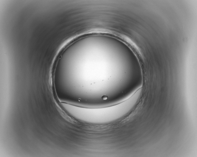 X0000116161372200911301552