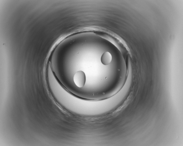 X0000116161373200911301552