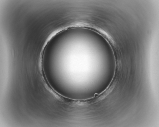 X0000116161374200911301552