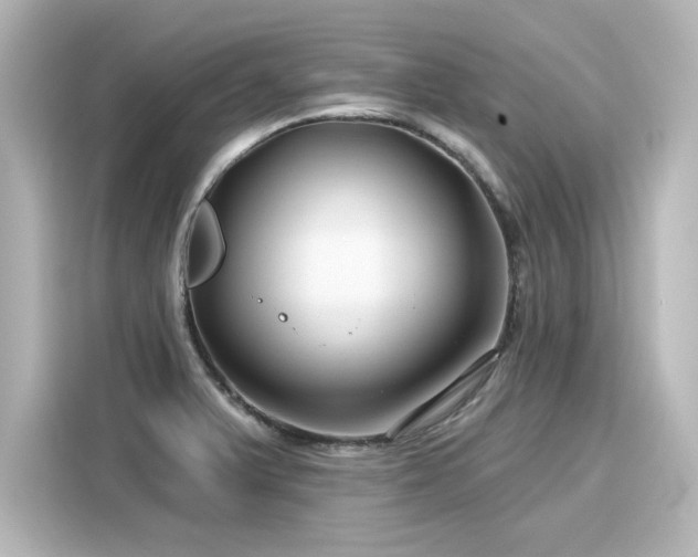 X0000116161375200911301552