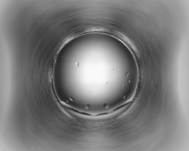 X0000116161377200911301552