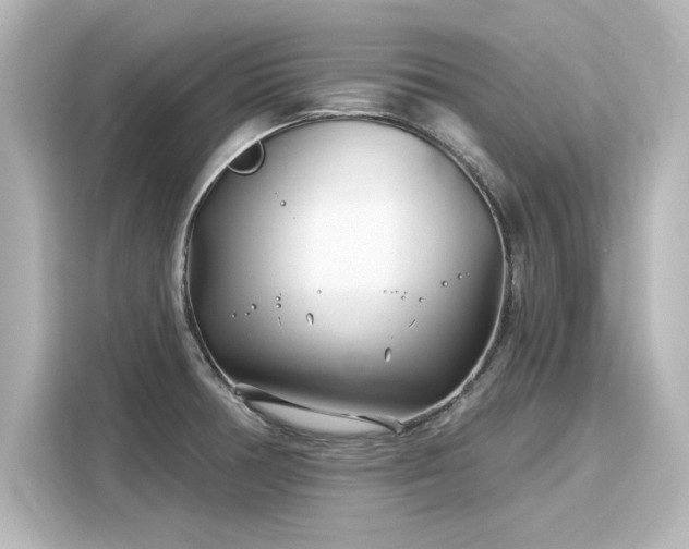 X0000116161378200911301552