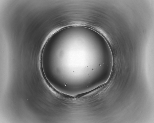 X0000116161379200911301552