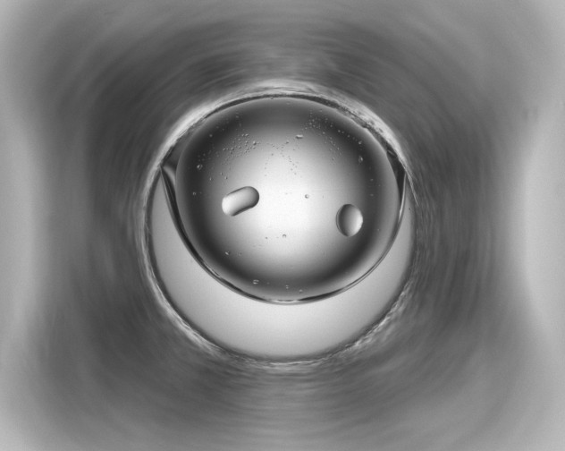 X0000116161381200911301552