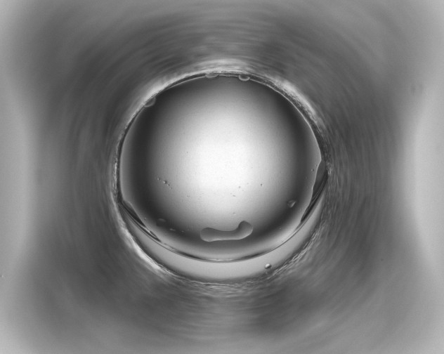 X0000116161383200911301552