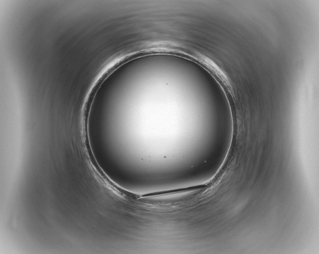 X0000116161384200911301552