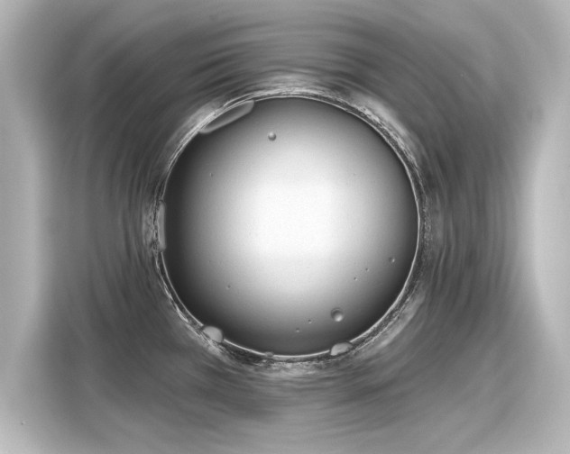 X0000116161385200911301552