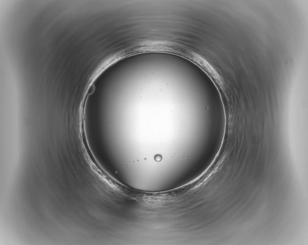 X0000116161386200911301552