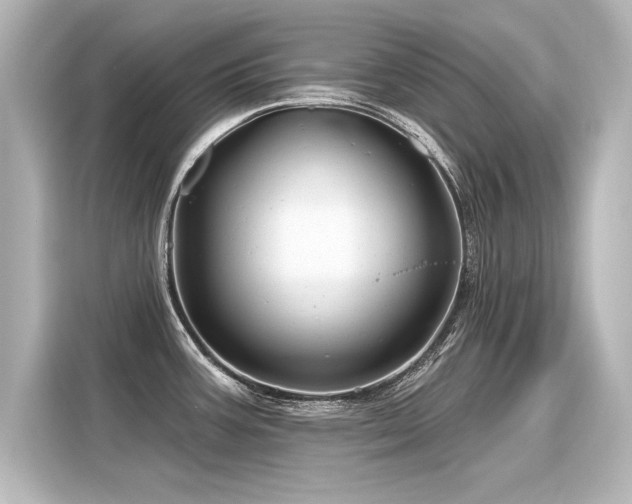 X0000116161387200911301552