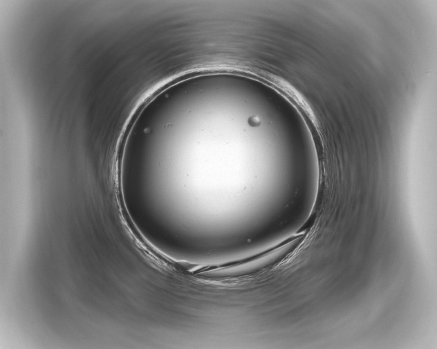 X0000116161388200911301552