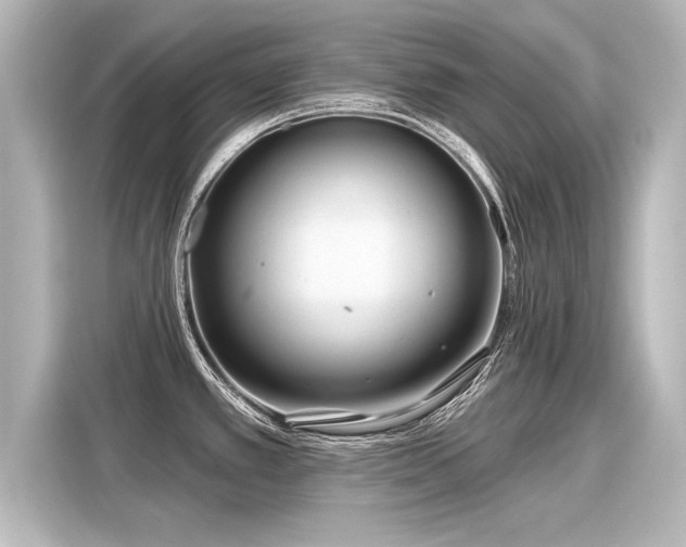 X0000116161389200911301552