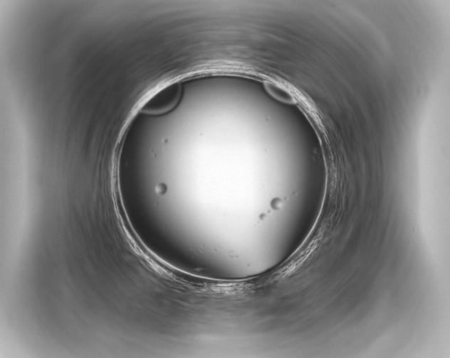 X0000116161390200911301552