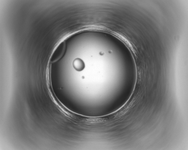 X0000116161391200911301552