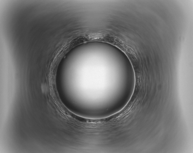 X0000116161393200911301551