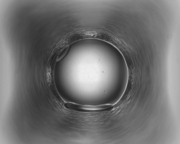 X0000116161394200911301551