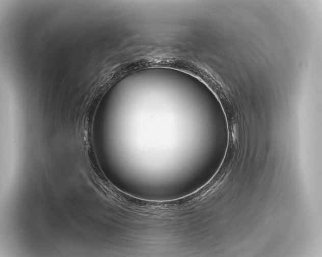 X0000116161396200911301552