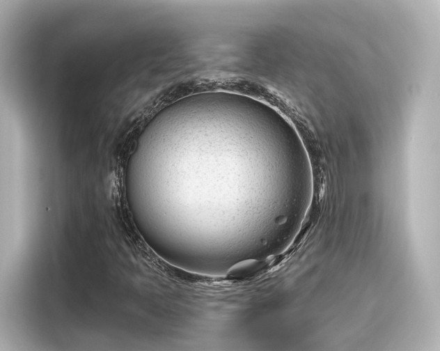 X0000116161397200911301552