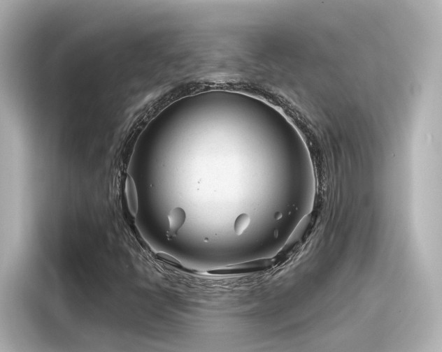 X0000116161398200911301552