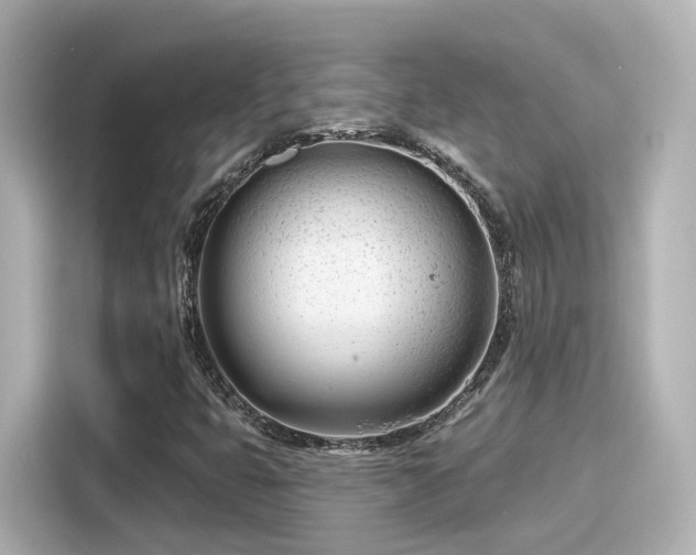 X0000116161399200911301552