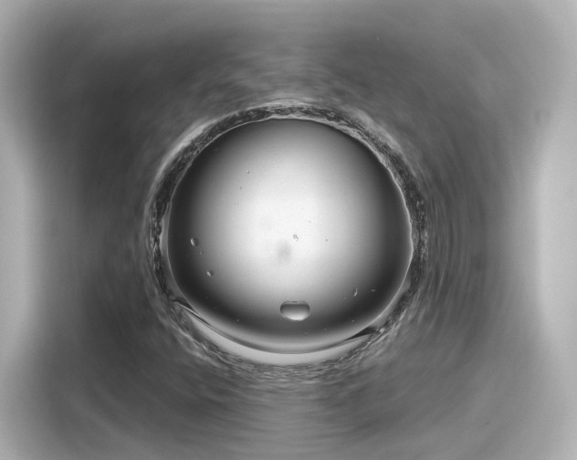 X0000116161400200911301552