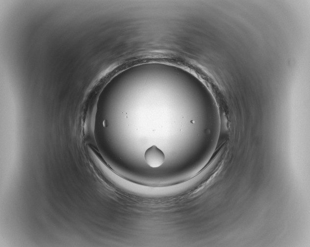 X0000116161402200911301552