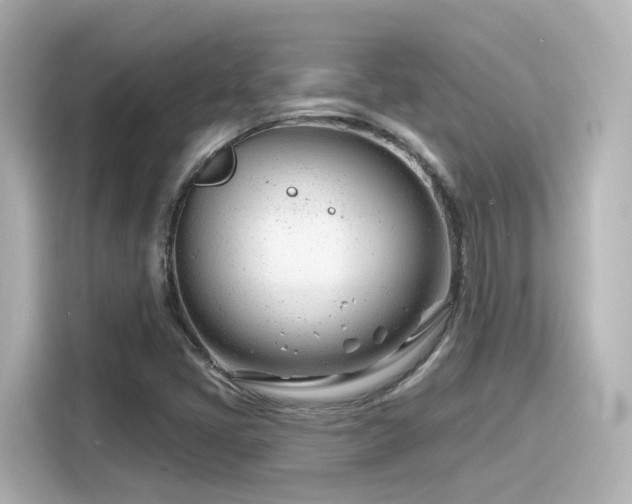 X0000116161405200911301552